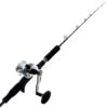 Okuma Cavalla 5 4BB Tournament Concept Light Jigging Combo 5ft 3in 100-250g 1pc -Okuma bundledokrecav5nsandokrotcfjar531m 2