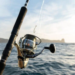 Okuma Coronado CDX 80 Baitfeeder Reel -Okuma okuma coronado 6 2